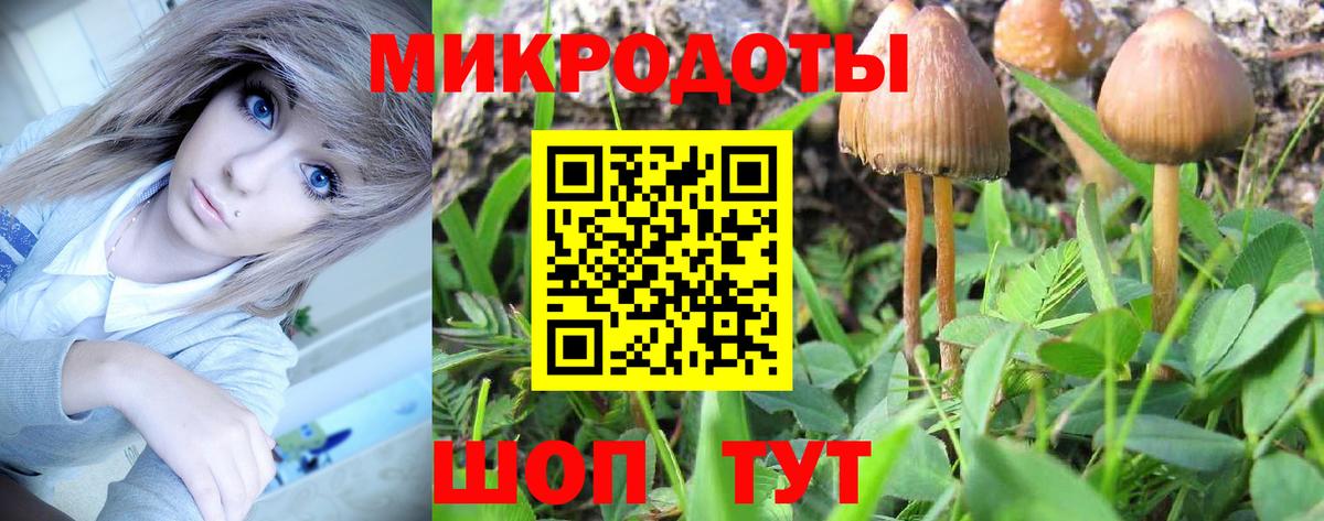 Псилоцибиновые грибы Psilocybe  Вход с VPN  Протвино  купить   Псилоцибиновые грибы Psilocybe 